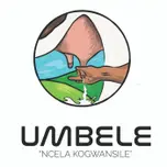 Umbele online business publication of Likhanyile Media
