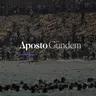 Göçmen akını, parti teşkilatlanması | 1 Ağustos 2026