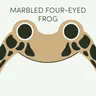 Marbled Four-Eyed Frog | Week of July 27th