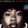 NYC Rising Jazz Vocalist Ekep Nkwelle on Caged Bird, Maya Angelou & Her Jazz Journey