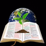 radiosementededeusnaterra