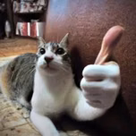 Anonimato