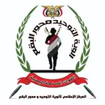 FM radio flags of standardization