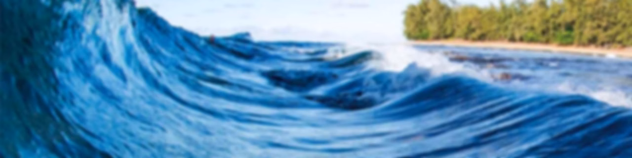 Deep Dive Into Water Safety