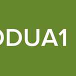 OODUA1 FM