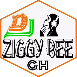 Dj Ziggy Bee Pro