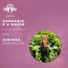 Cannabis e a Saúde com Cidinha Carvalho - Podcast da Consciência #70