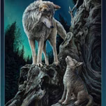 alfawolves