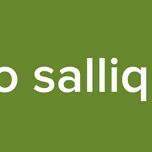 radio salliquelo