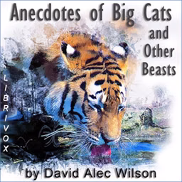 Anecdotes of Big Cats and Other Beasts by David Alec Wilson (1864 - 1933)