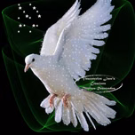 SONELYS BERENICE ARIAS TEJEDA ...SU VOZ...