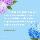 Conexão  fm