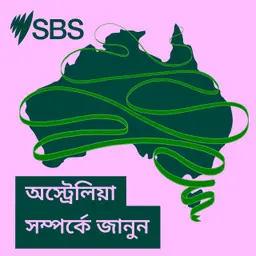 What to expect when visiting the veterinarian - Australia Explained: পশু চিকিৎসকের কাছে কী ধরনের সেবা পাওয়া যায়