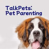 Pet Parenting 101