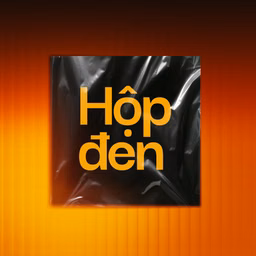 VnExpress Podcasts: Hộp đen