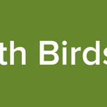 Music with Birds Singing