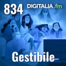 Digitalia #834 - Gestibile