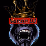 VANZIN DJ