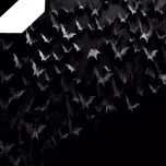 Feid - Ferxxo
