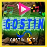 Gostin