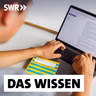 Wie KI die Schule und das Lernen beeinflusst