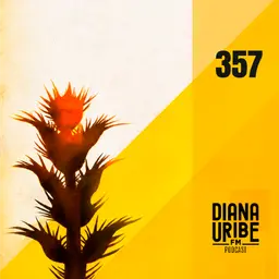 ¿Dónde está la Franja Amarilla? 30 años después