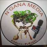 N Gana media