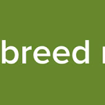 new breed radio