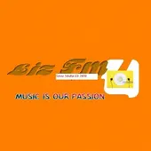 Ghana Radio Stations 127 Lizz FM logo