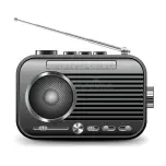 NAYINA FM