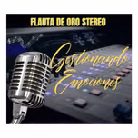 flauta DE ORO STEREO