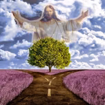 Camino de amor