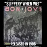 Bon Jovi "Slippery When Wet" (1986): Track by Track!