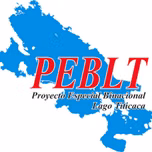 Pelt Radio