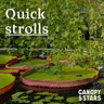 Quick Strolls: Natural Design