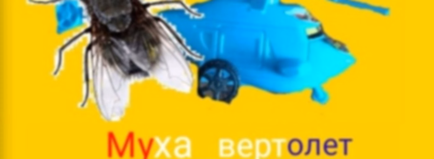 Муха Вертолет