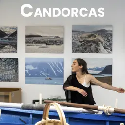Efer 744 (7-5-26): Que lle pasa as candorcas ibéricas cos veleiros?