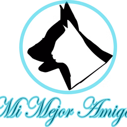 Primer programa de radio online