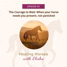 97: The Courage to Wait: When Your Horse Needs You Present, Not Panicked