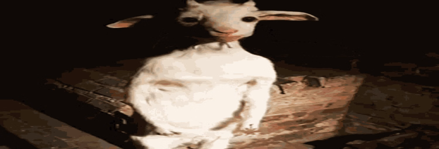 Åmbiguous Sounds