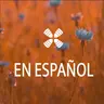 DAB En Español August 5, 2026