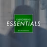Essentials - E Bilan vun de leschte sechs Méint