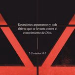 SISTEMAS DMR