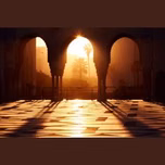 قناة عمر عبد الكافي بث حي