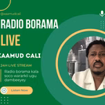 Radio Borama