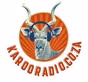 Karoo Radio