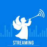 RADIO CUCM