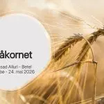 Såkornet | Prasad Alluri