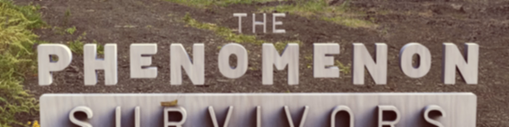 The Phenomenon