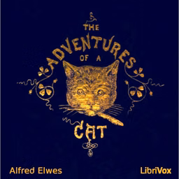 Adventures of a Cat, and a Fine Cat Too!, The by Alfred Elwes (1819 - 1888)